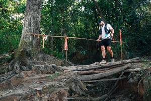 BIB: 
                            <button type="button" onclick="openModal(27756343)" class="btn btn-primary btn-sm float-right btn-popup" data-toggle="modal" data-target=".modal-high-quality">
                        <i class="fas fa-shopping-cart"></i> Add to Cart
                    </button>
                                            <button type="button" onclick="isThisMe(27756343, true)" class="btn btn-success btn-sm float-right btn-popup btn-isme hidden" data-toggle="tooltip" data-placement="bottom" title="นี่คือรูปของคุณใช่ไหม คลิกที่นี่เพื่อเอาเข้าอัลบั้ม">
                        <i class="fas fa-plus"></i> Add to album
                    </button>
                    <button type="button" onclick="isThisMe(27756343, false)" class="btn btn-warning btn-sm float-right btn-popup btn-isnotme hidden">
                        <i class="fas fa-ban"></i> Remove from album
                    </button>